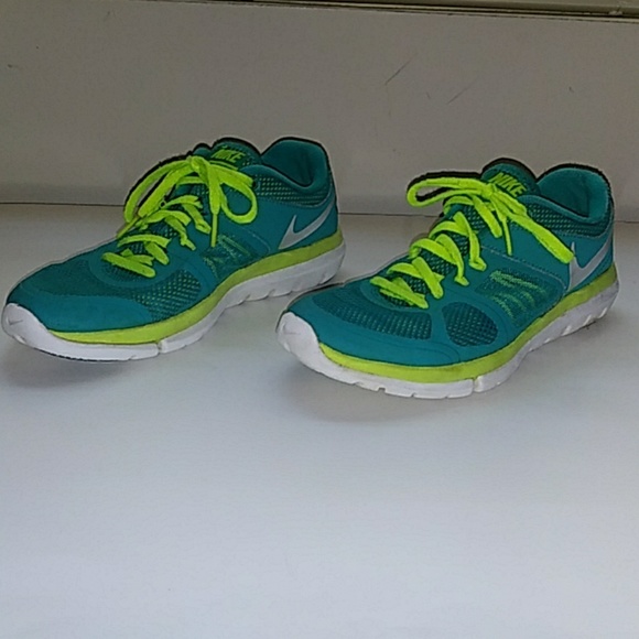 Nike Shoes - Nike Flex 2014 Run